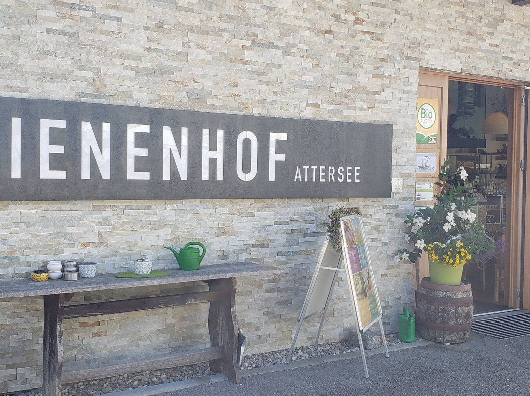 Bienenhof Attersee Mit Café Ambrosius