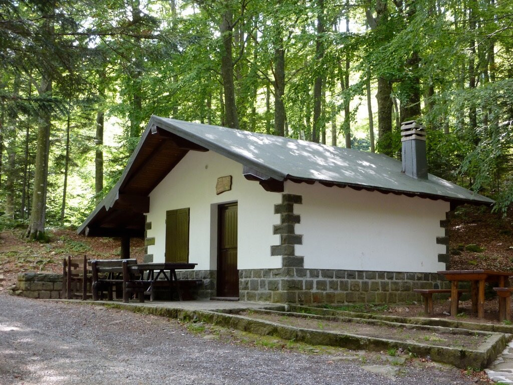 Foresta Biogenetica Di Pian Di Novello