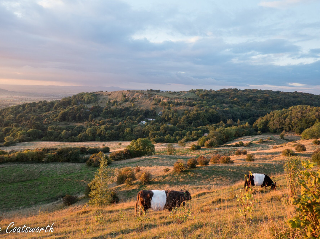 Cotswold Walking Company