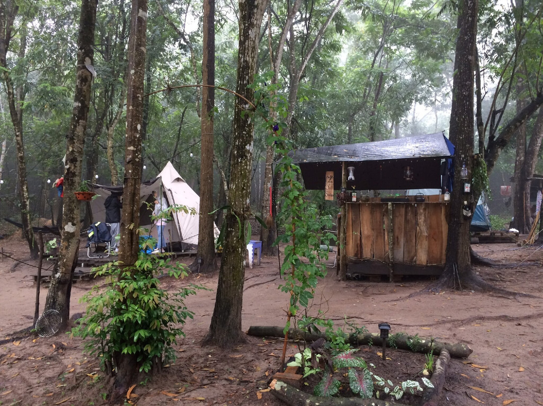 Ong Rừng Camping