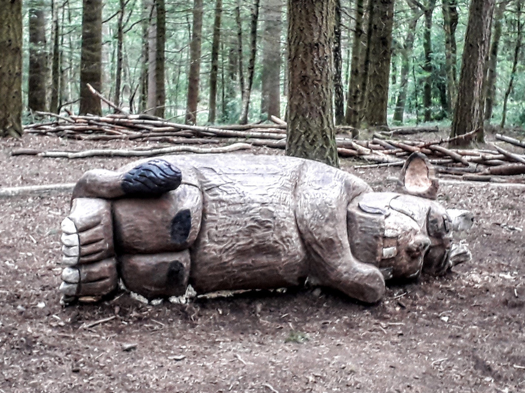 Wyre Forest景点图片