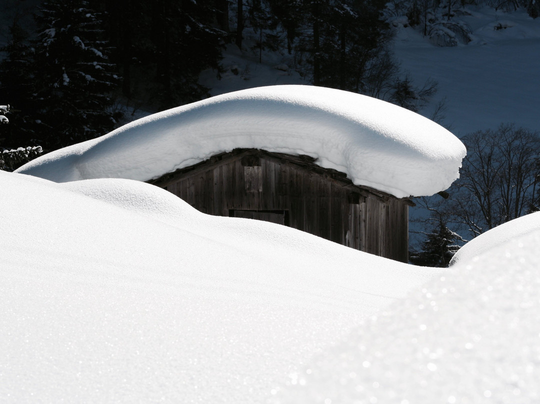 Hotel Elisabeth & Spa主图