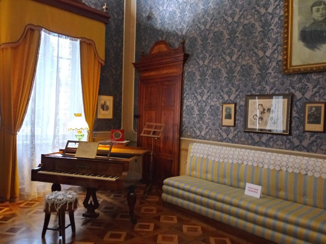 Museo Casa Barezzi景点图片