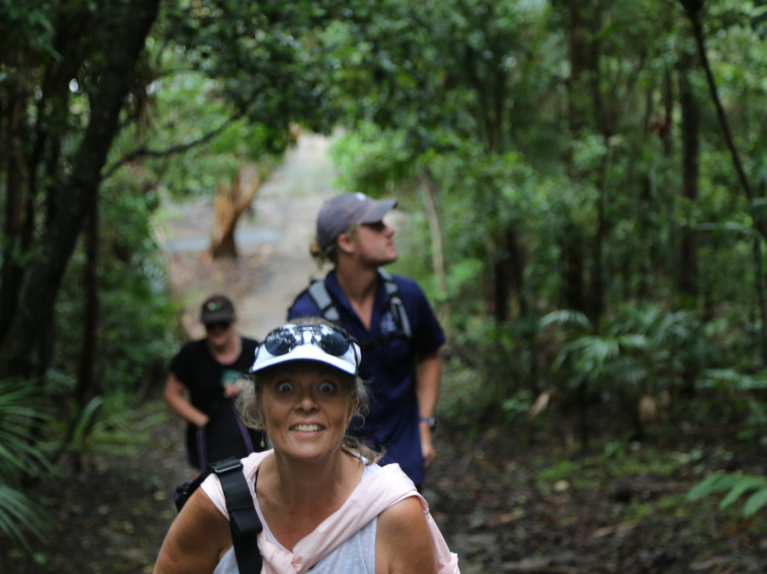 Byron Bay Coastal Walks景点图片