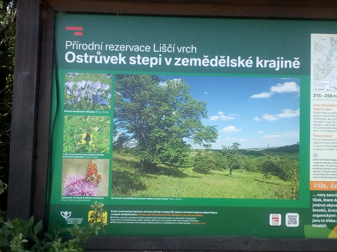 Penzion Muslov主图