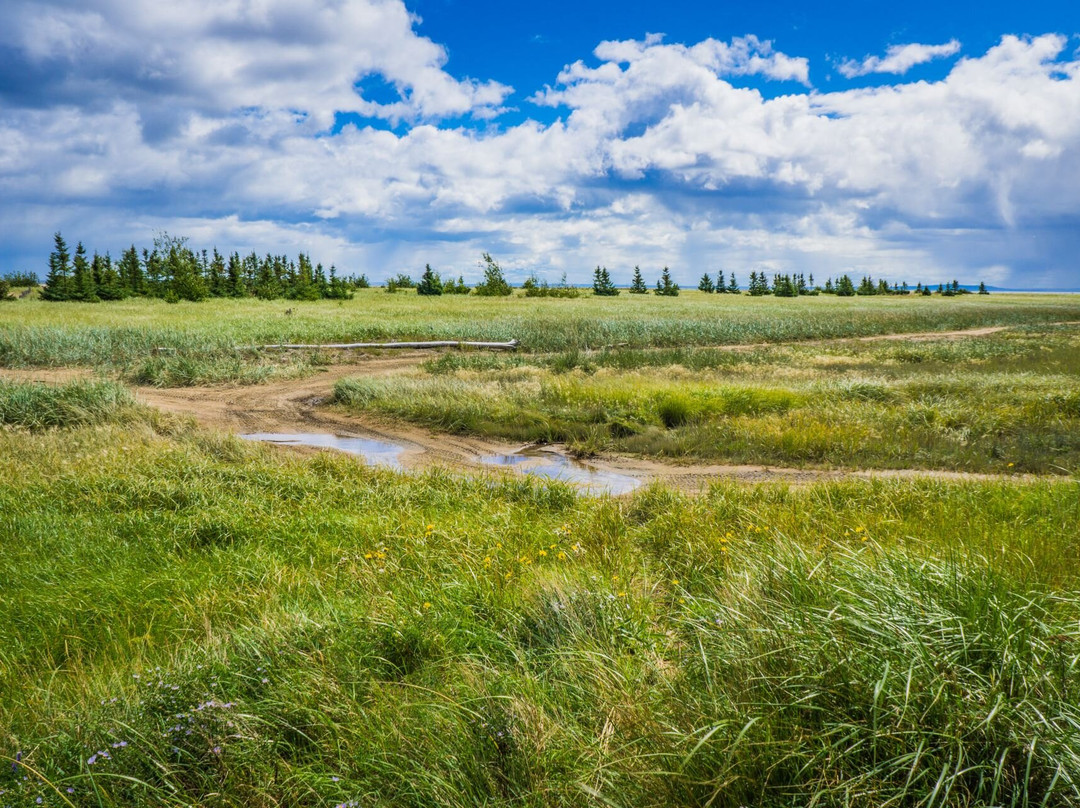 Banc De Portneuf-Portneuf-sur-Mer必去景点