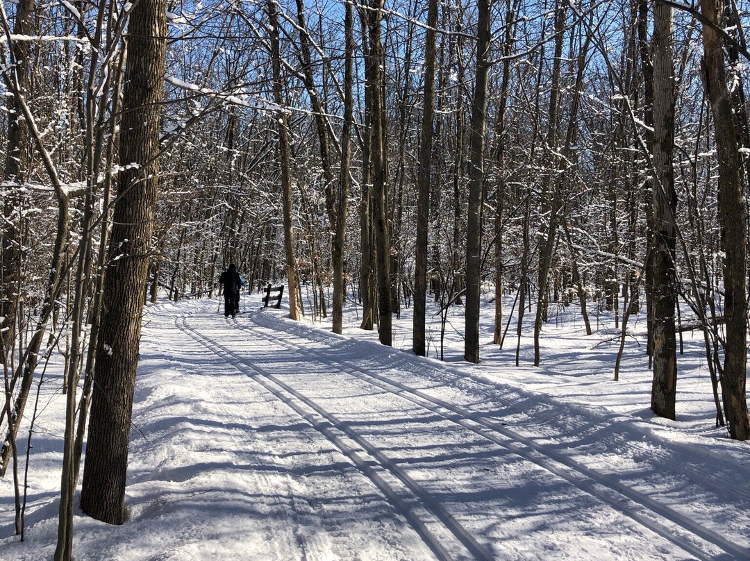 Parc Michel-Chartrand-隆格伊必去景点