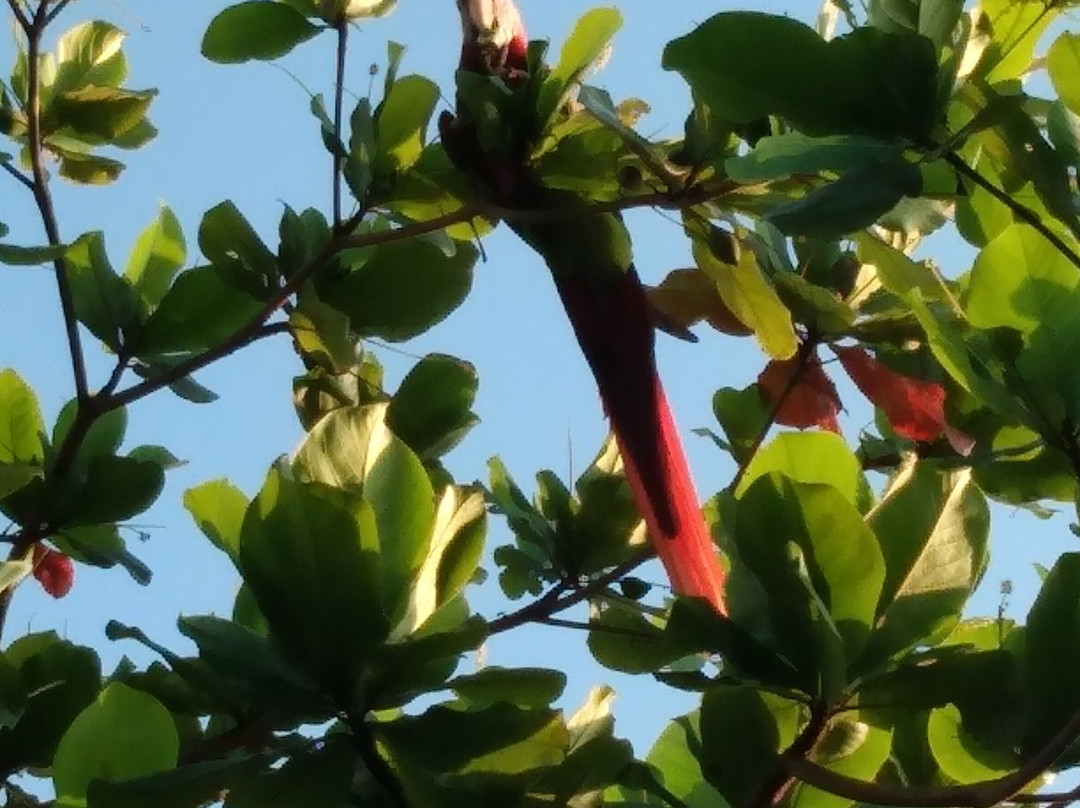 贝乐机场酒店主图