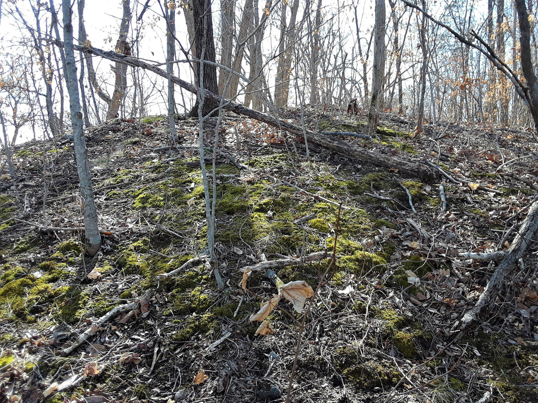 Clark's Hill/Norton State Historic Site-Osage City必去景点