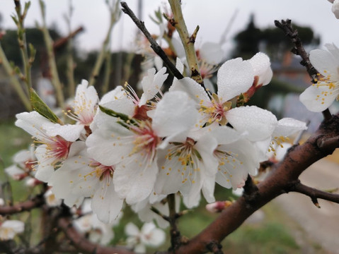 Parquelagos, Torrelodones, Galapagar, La Navata, Circular-Galapagar必去景点