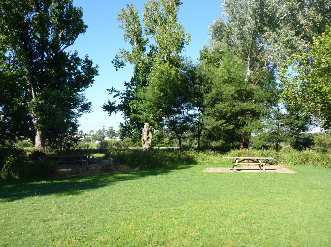 Bega River And Walk景点图片