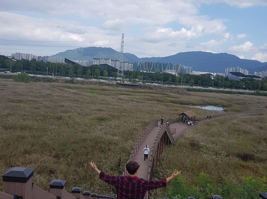 Daemyung Oil Reservoir景点图片
