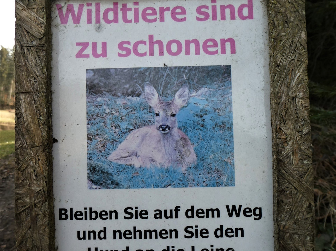 Weiherlandschaft Ostergau-Willisau必去景点