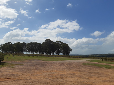Hunter Wine Journeys-波高尔宾必去景点