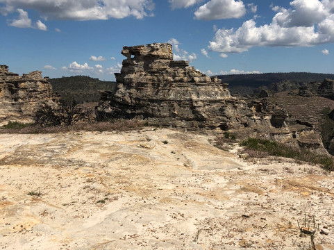 Adrenalin Off Road Tours-悉尼必去景点