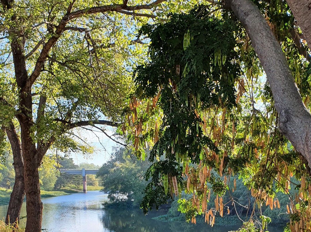 Parque de la Riberas-Culiacan必去景点