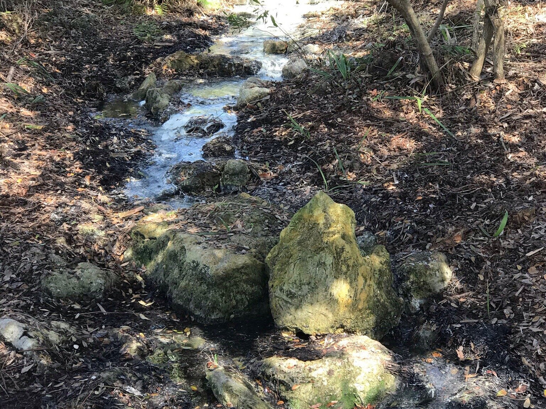 Oscar Scherer State Park-Osprey必去景点