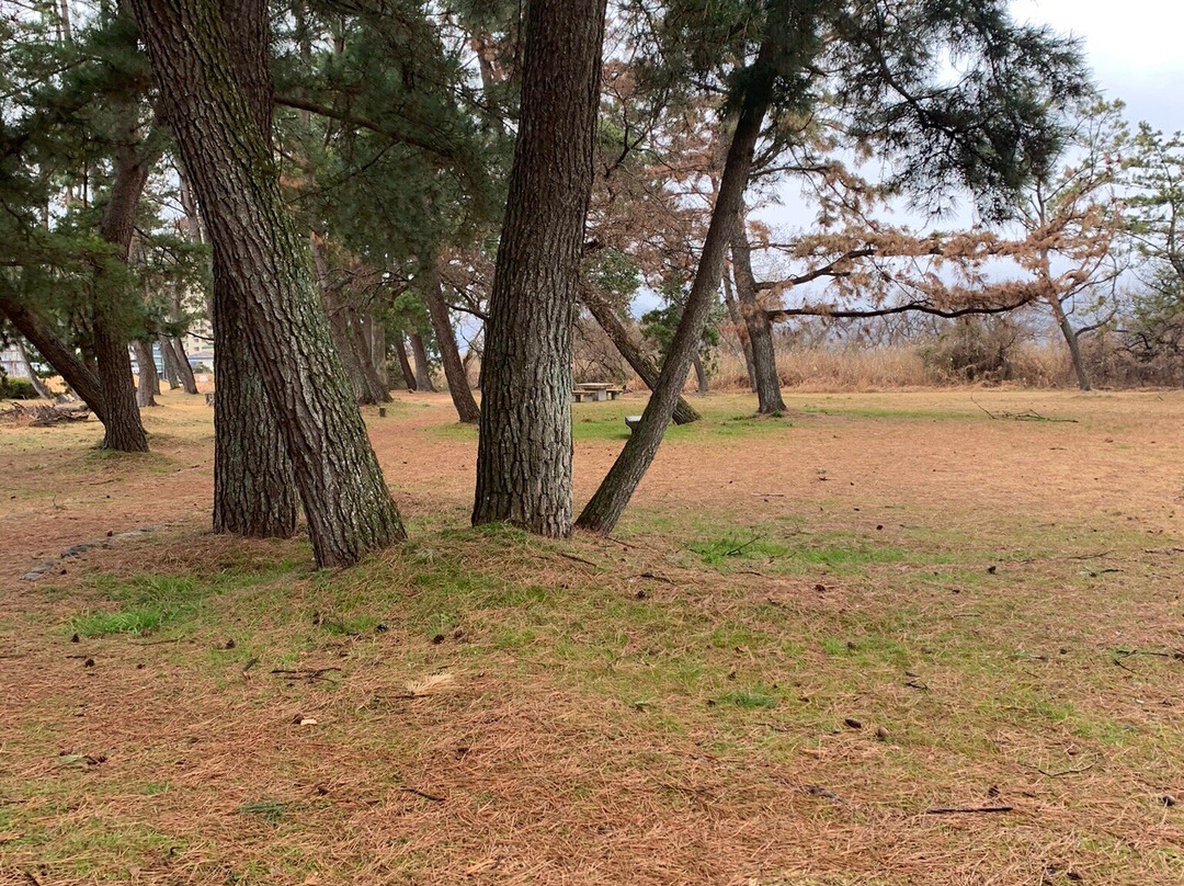 Nagisa Park-守山市必去景点