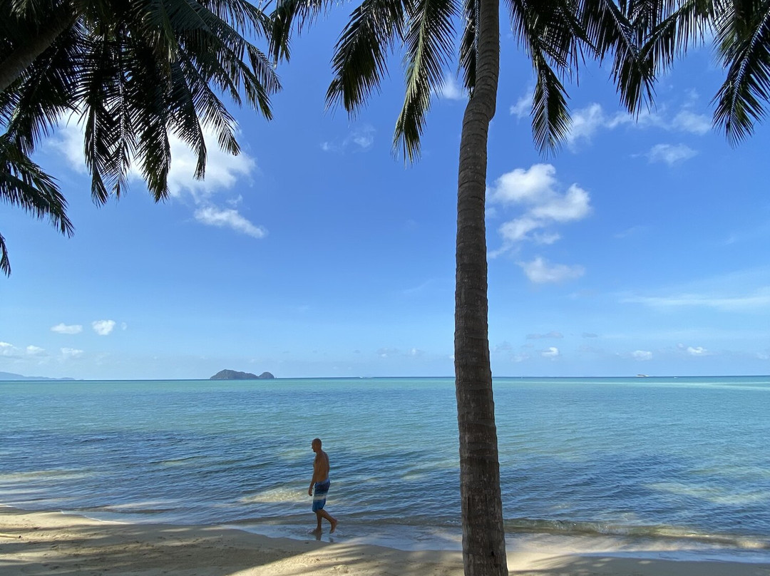 Castaway Beach Bungalows主图