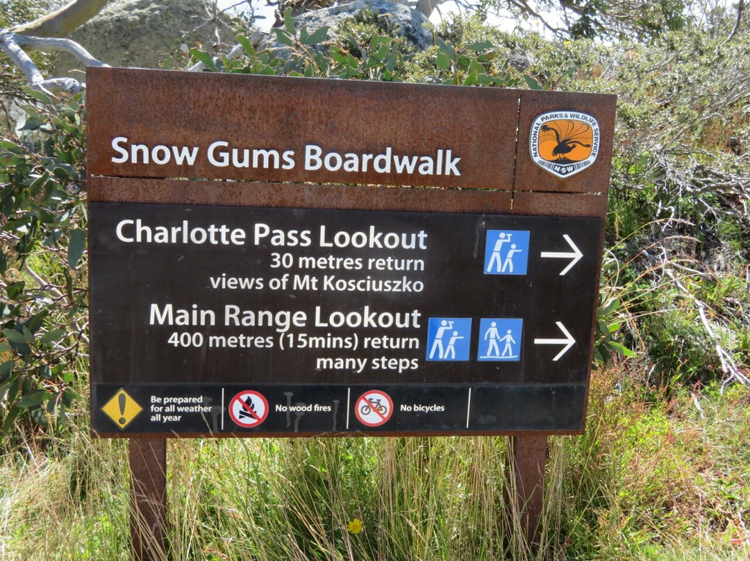 Snow Gums Boardwalk景点图片