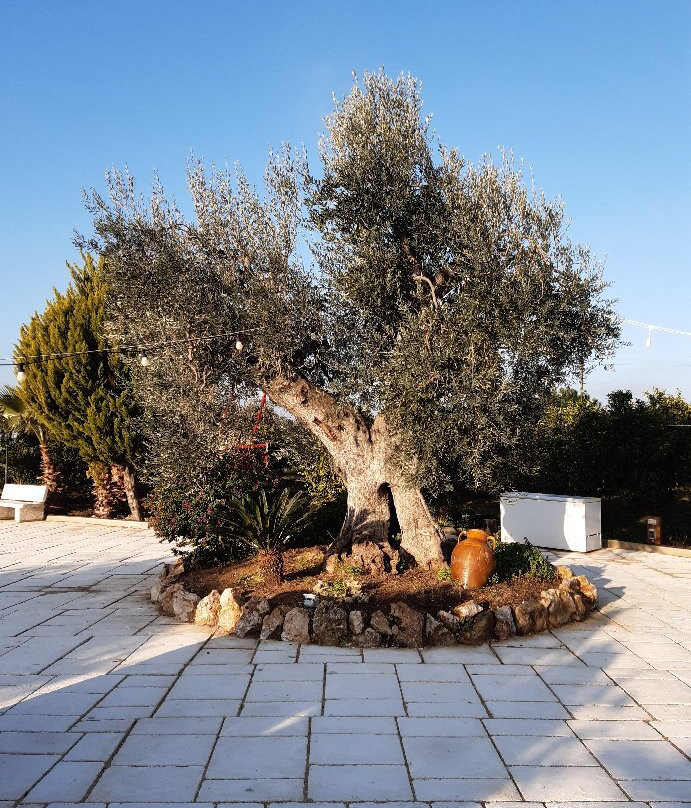 B&B Giardino Isabella主图
