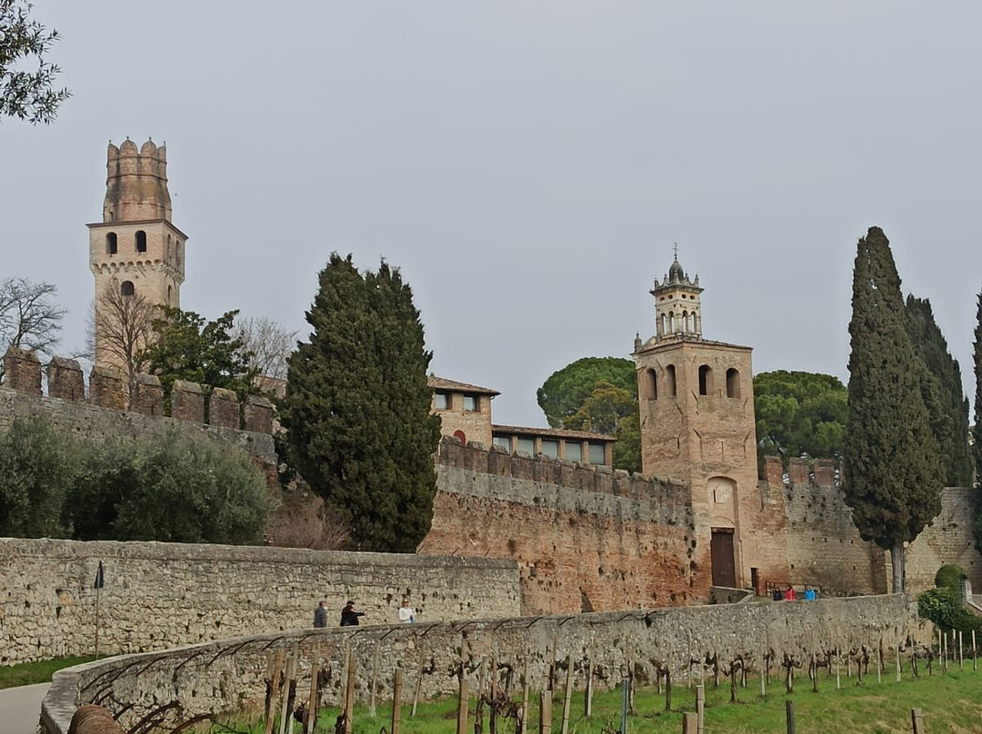 Castello San Salvatore景点图片