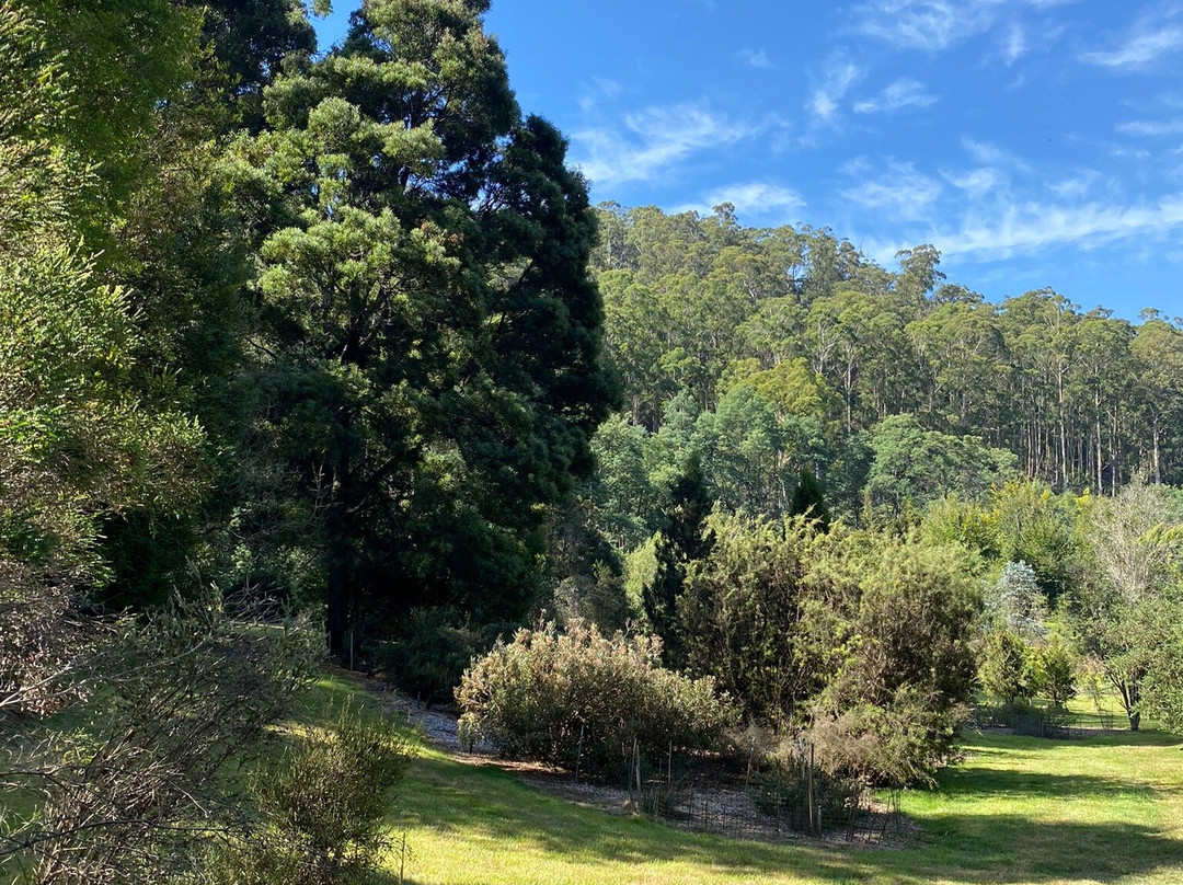 The Tasmanian Arboretum-Devonport必去景点