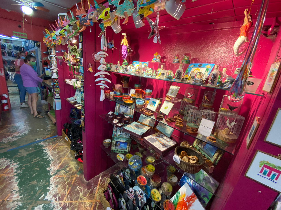 Vieques Gifts景点图片