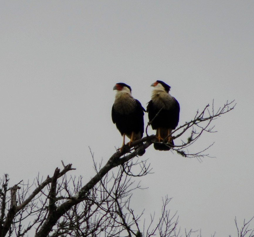 San Bernard National Wildlife Refuge-Brazoria必去景点