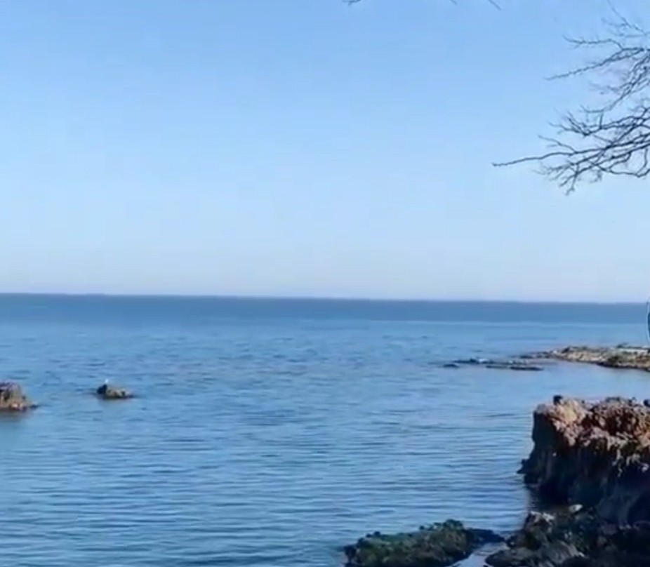 Uniport AVM景点图片