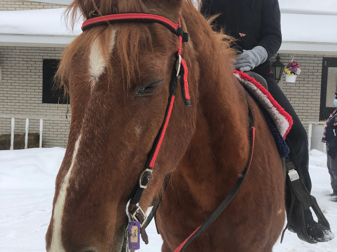 Forest View Farms-廷利公园必去景点