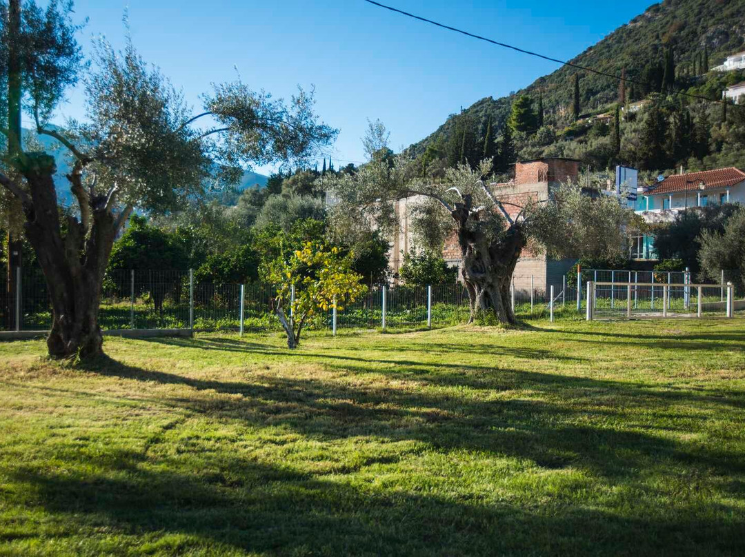 Kostas Studios主图