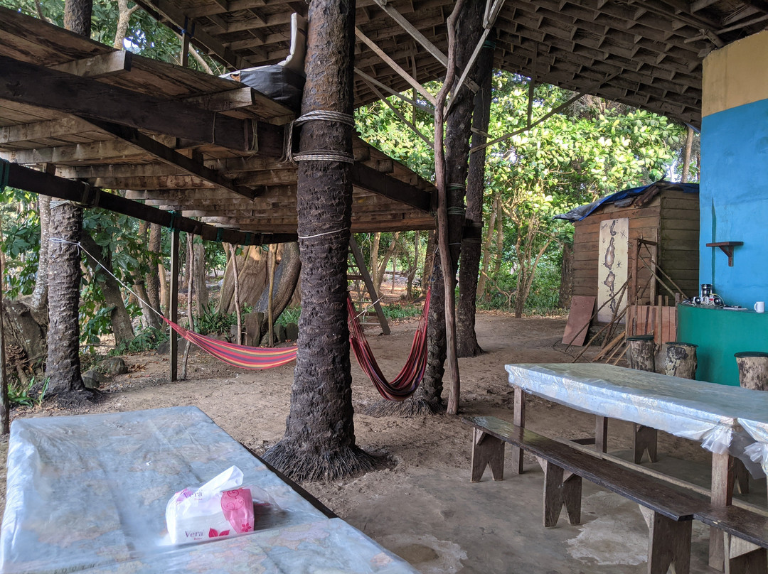 Daltons Banana Guest House主图