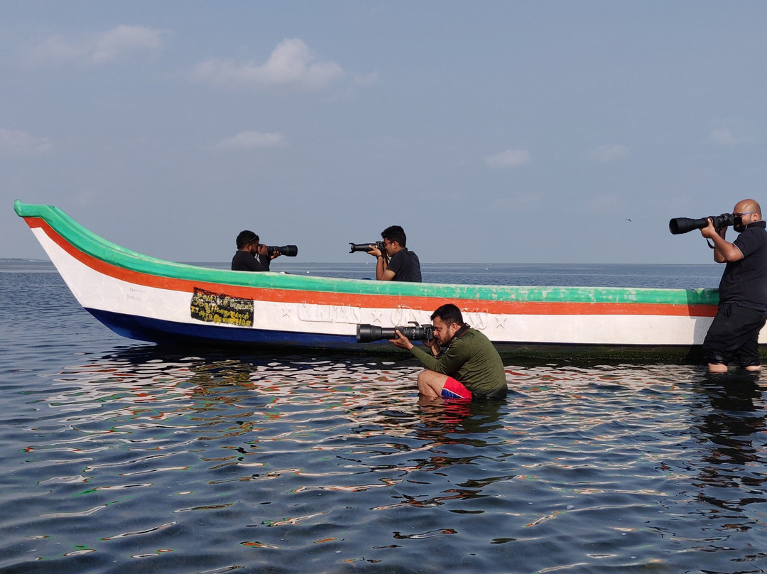 Pulicat Boating - Roy Pulicat Lake Boating景点图片