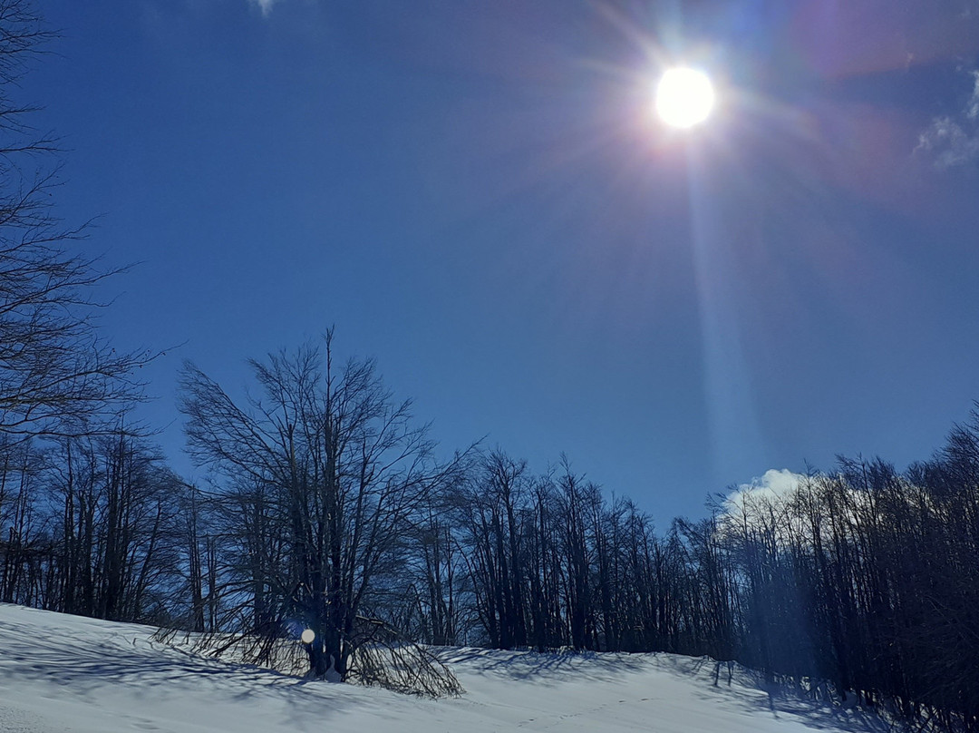 Piste da Fondo Cinque Confini景点图片