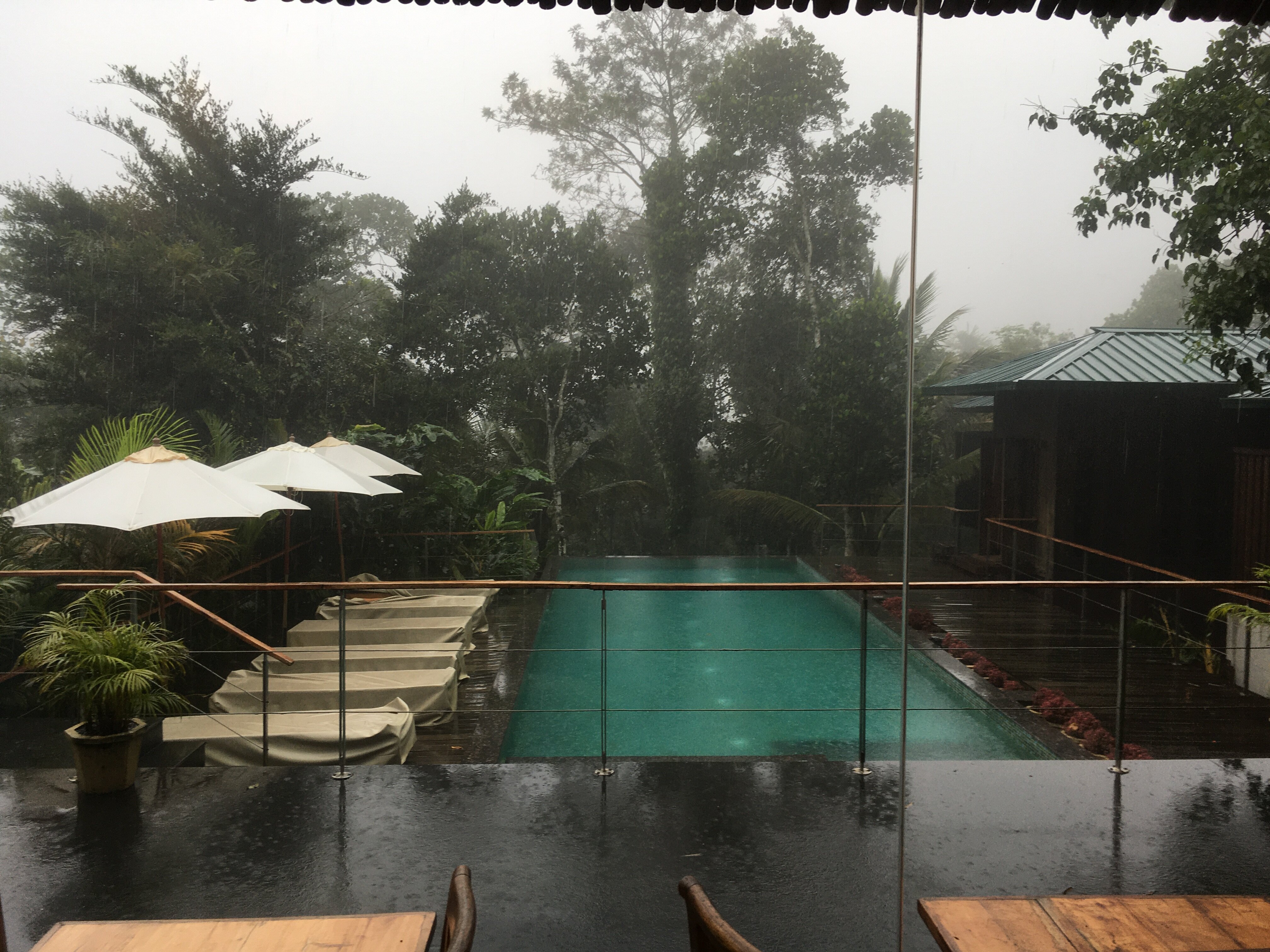 Niraamaya Retreats Cardamom Club, Thekkady-餐饮