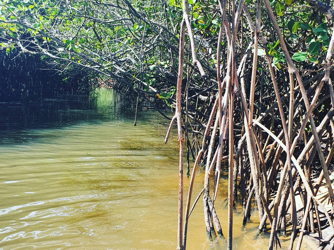 Japara Mirim Beach-Cumuruxatiba必去景点
