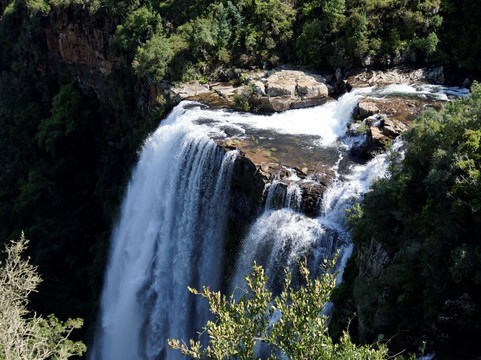 African Safari Adventures-雾观必去景点