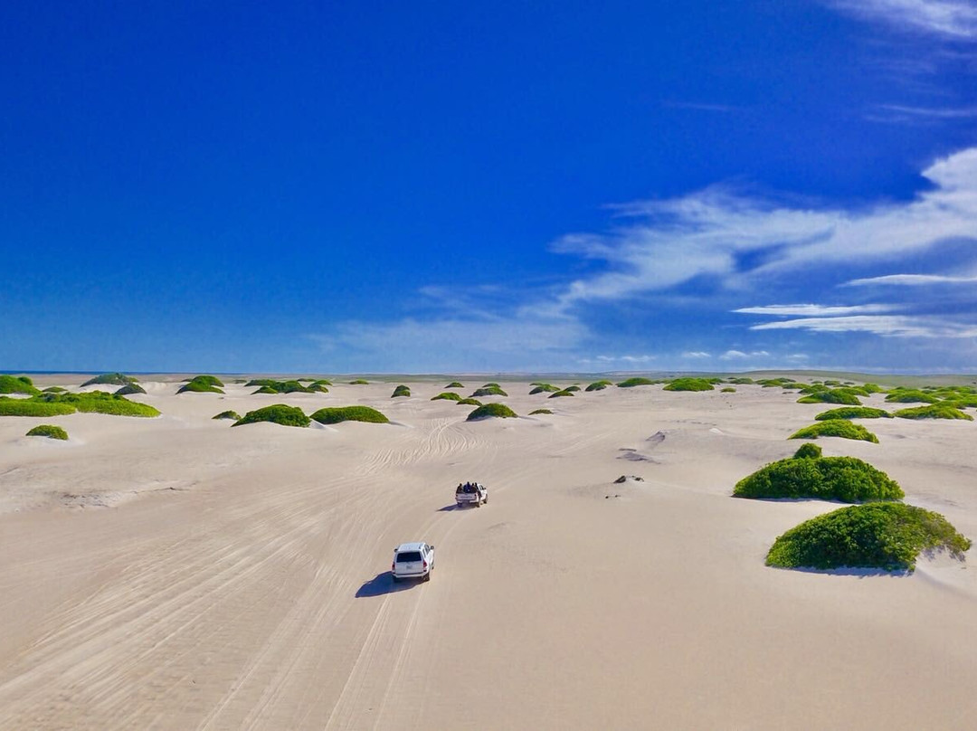 索马里旅游攻略图片