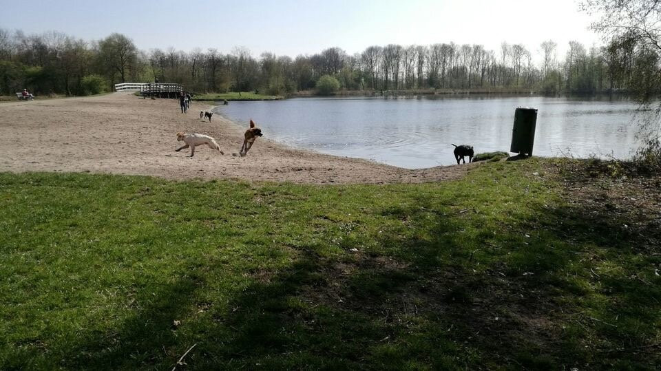 Groene Ster Leeuwarden-吕伐登必去景点