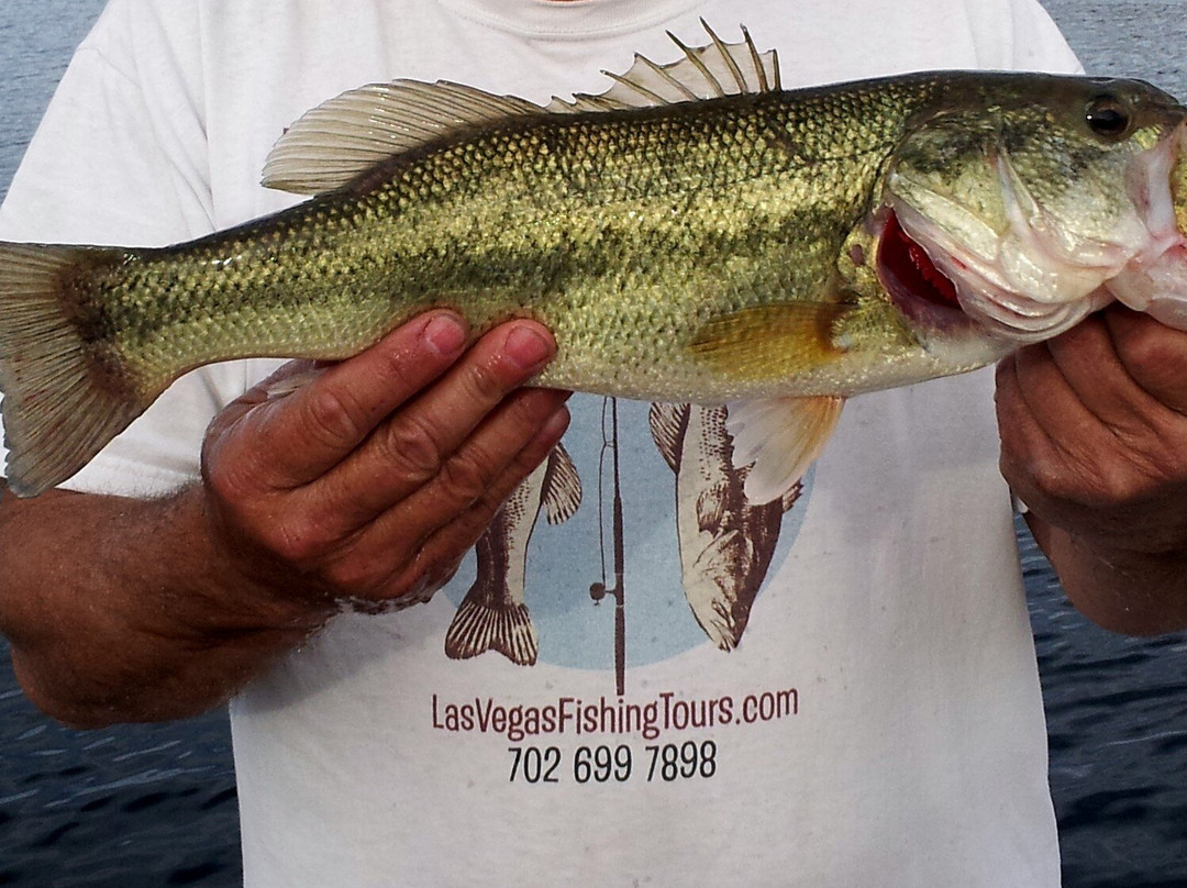 Las Vegas Fishing Tours-拉斯维加斯必去景点