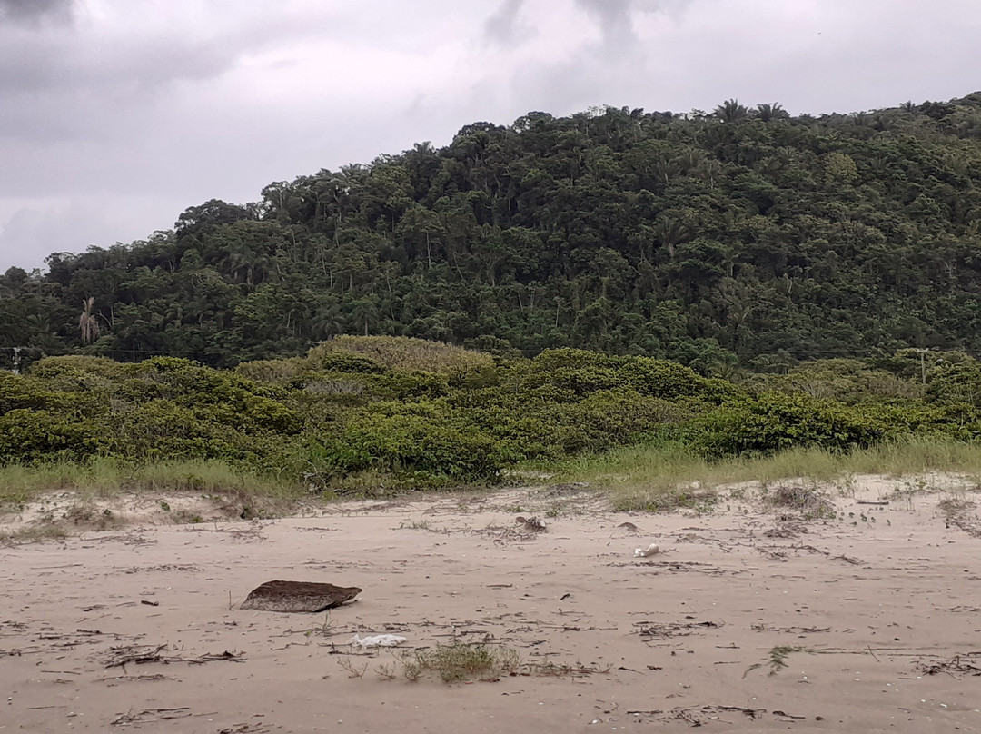 Carambore Beach景点图片