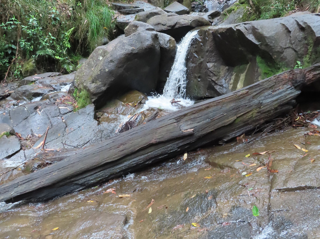 Olinda Falls-奥林达必去景点