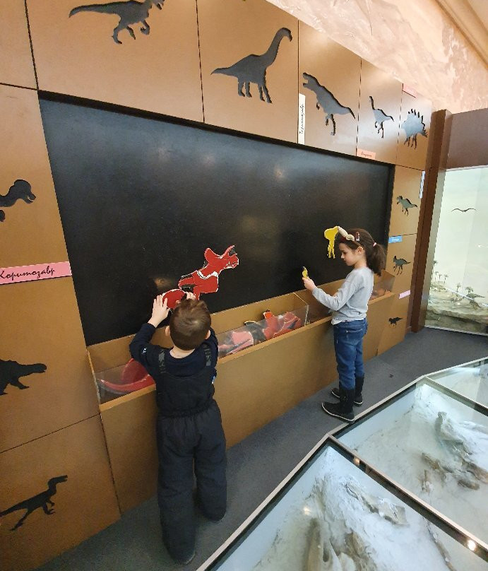 Natural History of Tatarstan Museum-喀山必去景点