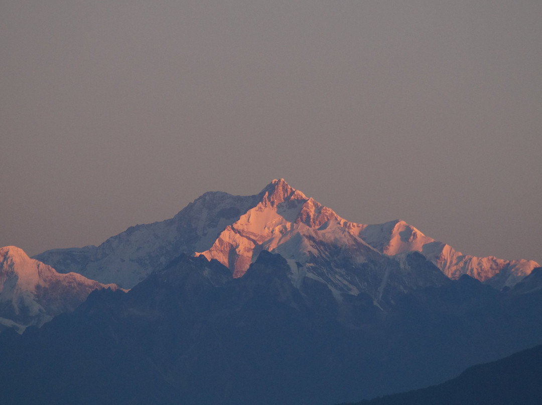 Homecalling Samthar主图