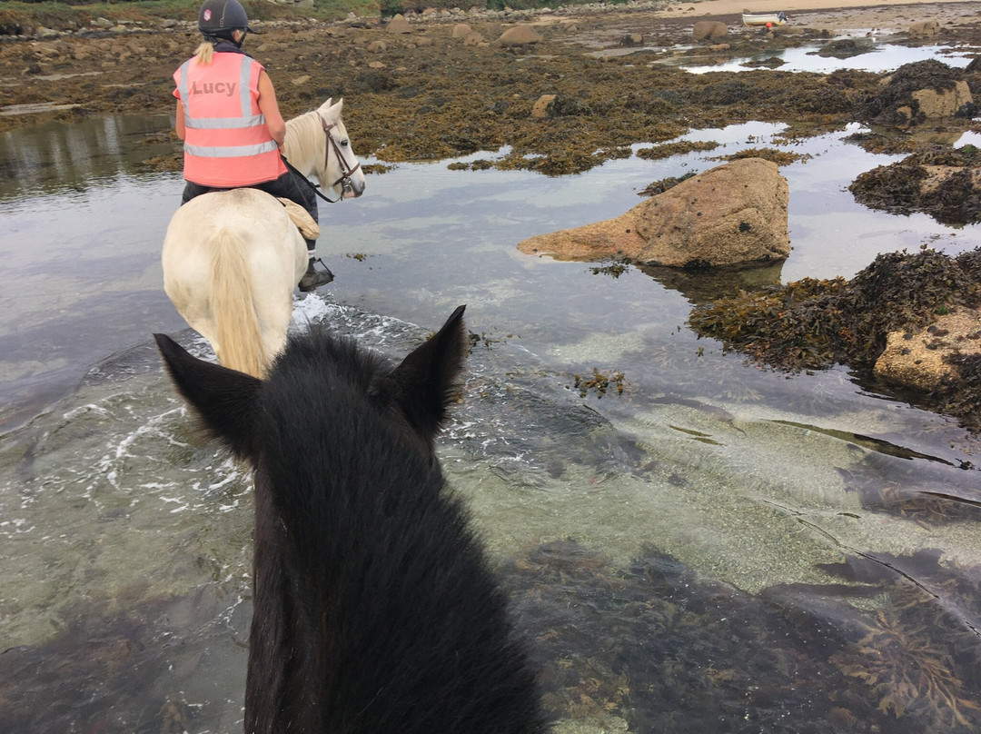 St Mary's Riding Centre-St Mary's必去景点