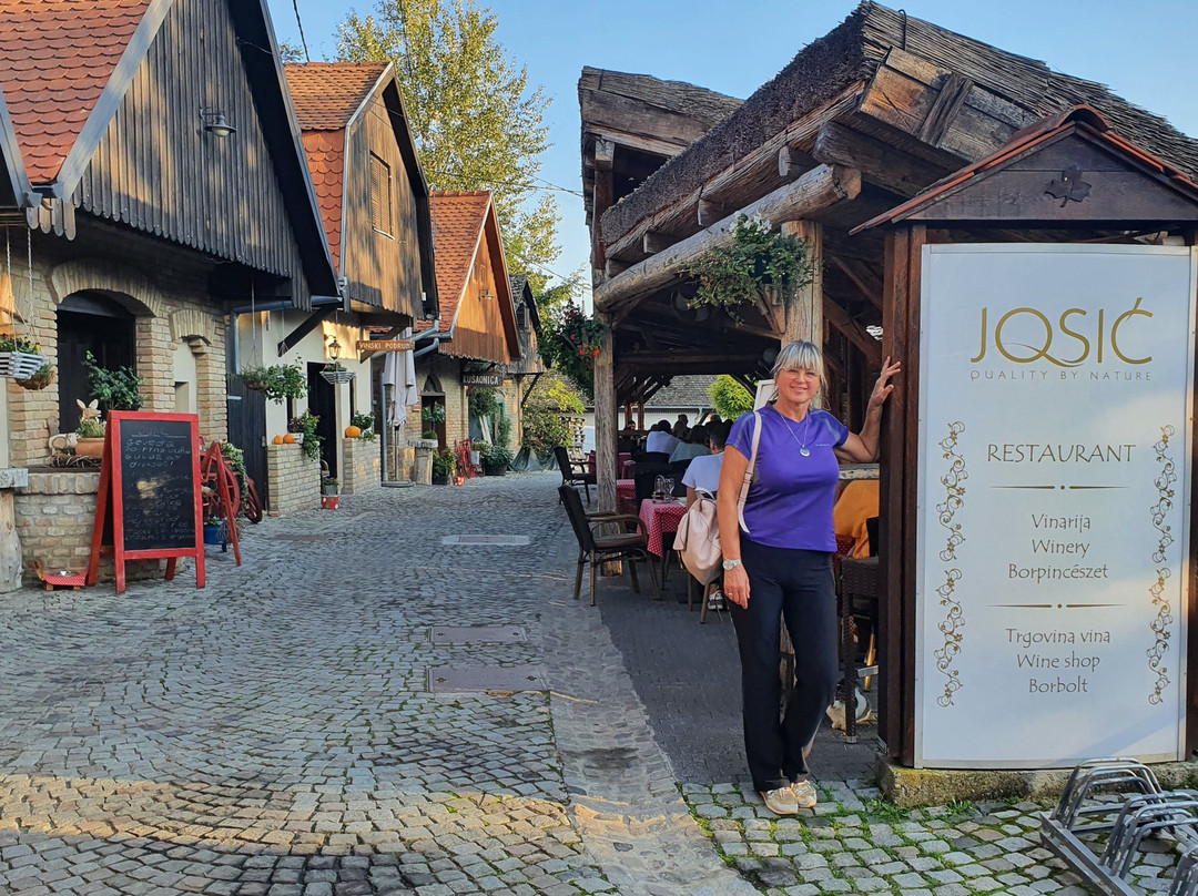 Guest House Stara Baranja