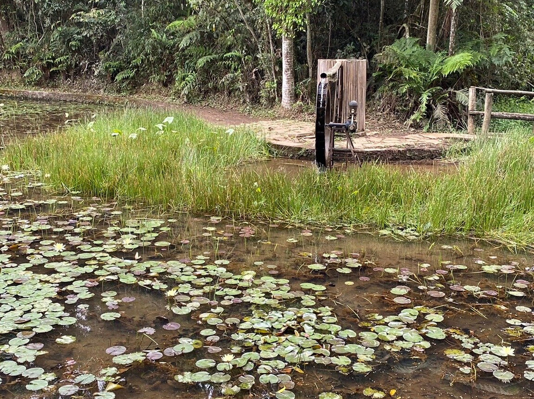 Botanical Garden of the Agronomic Institute-坎皮纳斯必去景点