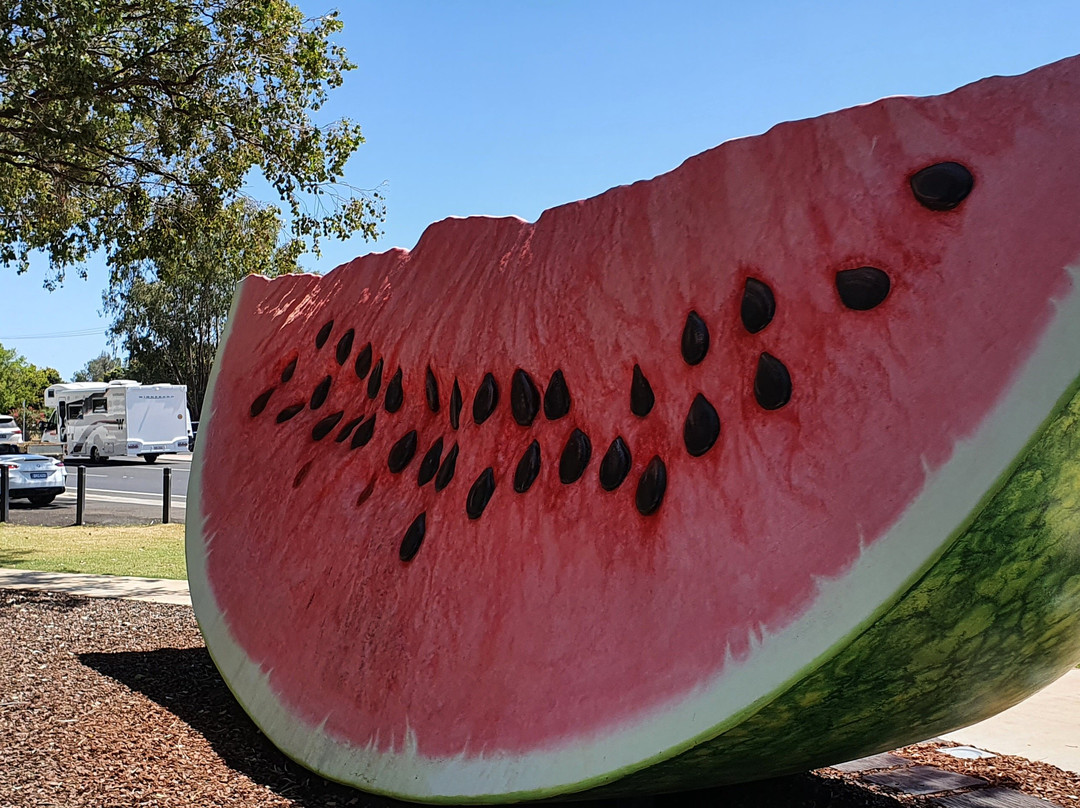 The Big Melon-Chinchilla必去景点