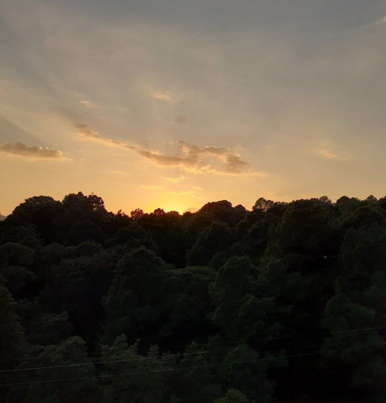 Mastiff Hotel Gopalpur主图